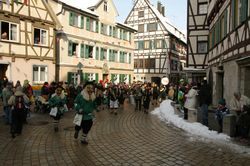 tn_2013_02_11_umzug_wiesensteig_16.jpg